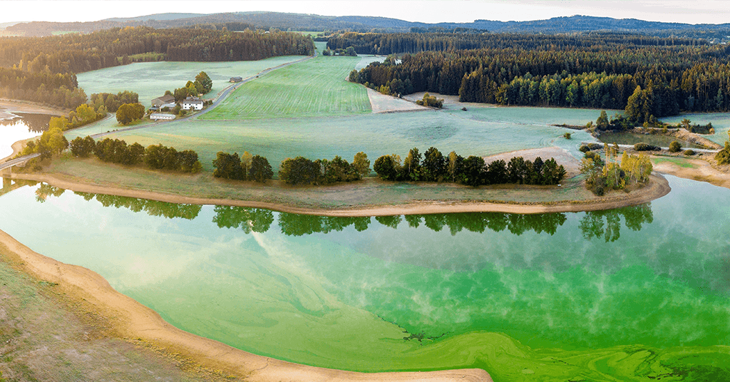 Algae Control in Wastewater Lagoons: Managing Summer Algal Blooms